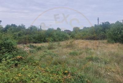 Teren Construcții intravilan de 2700 mp, în Poiana Lacului - 3