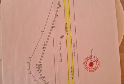 Teren Construcții intravilan de 10000 mp, în Tunari