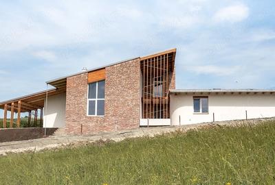 Casă cu Teren 1461 Mp în Săliște - 10