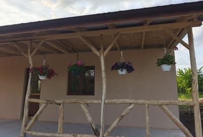 Casă cu 2 camere în Santăul Mare - 5