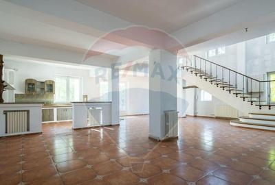 Spațiu comercial, de 474 mp, în Snagov - 9