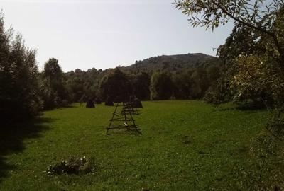 Spațiu comercial, în Valea Doftanei - 2