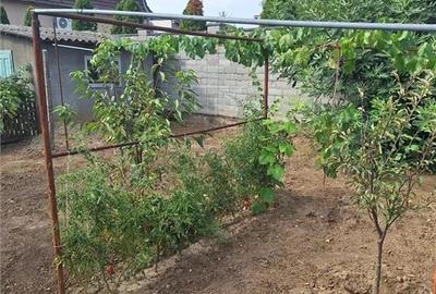 Garsonieră decomandată în Elisabetin - 4