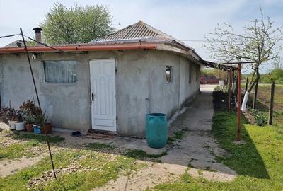 Casă cu 2 camere cu Teren 1500 Mp în Copaciu - 10