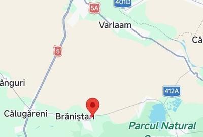 Teren de 30000 mp, în Brăniștari - 8