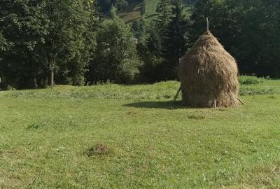 Teren de 1780 mp, în Central - 4