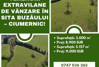 Teren extravilan de 8157 mp, în Sita Buzăului