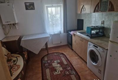 Garsonieră semidecomandată, mobilată în Bucium - 2