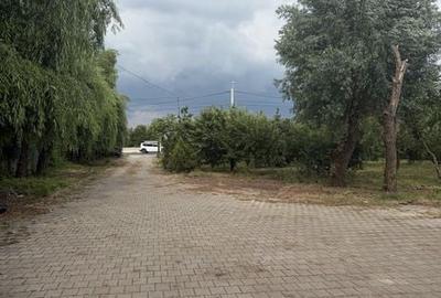 Teren de 2500 mp, în 1 Decembrie - 2