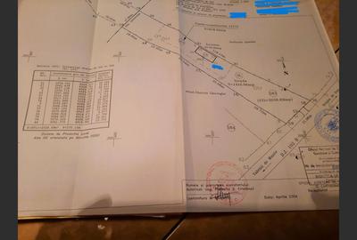 Casă cu 3 camere cu Canalizare în Drajna de Jos - 6