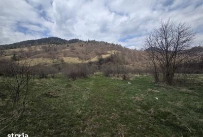Spațiu comercial, de 560 mp, în Tulgheș - 2