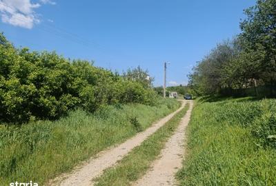 Teren de 1250 mp, în Șimnicu de Sus - 5