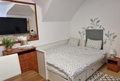 Hotel/Pensiune, de 210 mp, în Centrul Istoric - 13