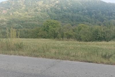 Teren de 2500 mp, în Domnești