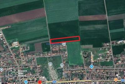 Teren de 40000 mp, în Est - 1