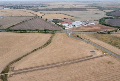 Teren agricol extravilan de 31383 mp, în Dudeștii Noi - 16