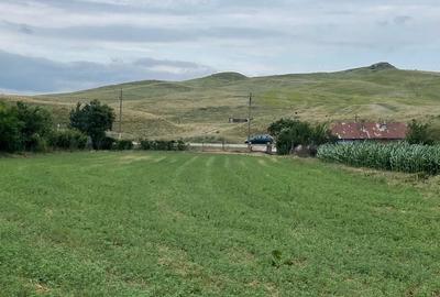 Teren de 2900 mp, în Trușești