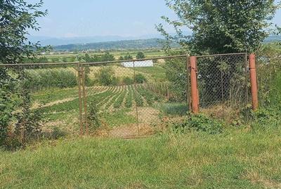 Teren de 1272 mp, în Coltău