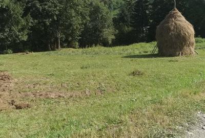 Teren de 1780 mp, în Central - 6
