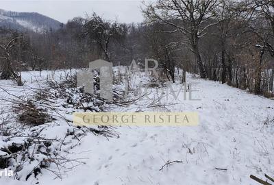 Casă cu 2 camere cu Teren 3300 Mp în Poiana - 3