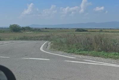 Teren agricol intravilan de 35000 mp, în Hălchiu - 7
