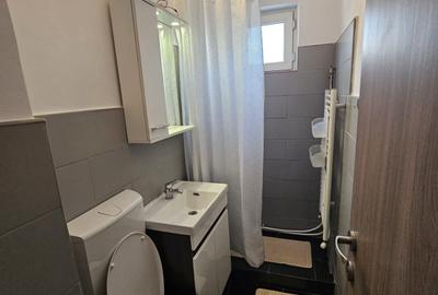 Garsonieră semidecomandată în Gojdu - 9
