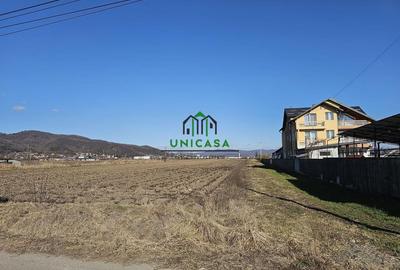 Teren Construcții intravilan de 7409 mp, în Copăcelu