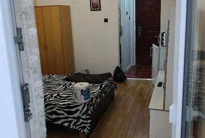 Garsonieră semidecomandată în Valea Rosie - 4