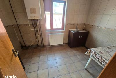 Casă cu 9 camere cu Teren 1295 Mp în Craiovei