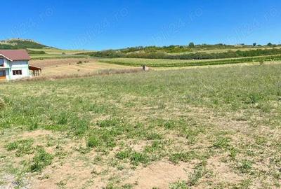Teren de 1020 mp, în Ighiu - 9