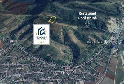 Teren de 6722 mp, în Mașloc - 3