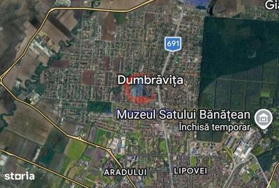 Casă cu 5 camere cu Teren 2600 Mp în Dumbrăvița