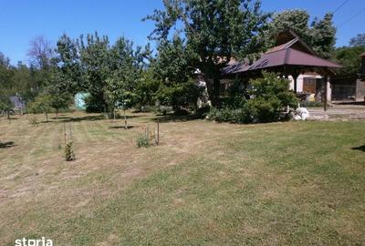 Teren de 120 mp, în Calvini - 2