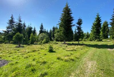 Teren de 3300 mp, în Beliș
