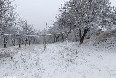Casă cu 4 camere cu Teren 4863 Mp în Coșna - 2