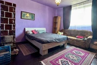 Casă cu 2 camere în Iratoșu - 5