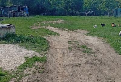 Casă cu 4 camere în Valea Siliștii - 6