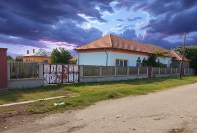 Casă cu Teren 1180 Mp în Central