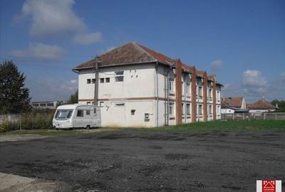Spațiu industrial, de 7,000 mp, în Sânnicolau Mic - 1