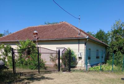 Casă cu 4 camere în Agrișu Mare - 5