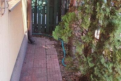 Duplex cu 3 camere cu Canalizare în Iancu Nicolae - 21