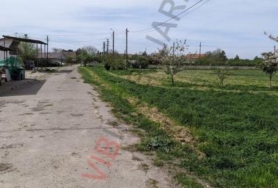 Teren extravilan de 95000 mp, în Cerneteaz