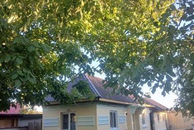 Casă cu 3 camere în Golfin - 4