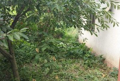 Casă cu 2 camere cu Teren 100 Mp în Vânători - 3