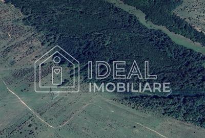 Teren extravilan de 127100 mp, în Mag