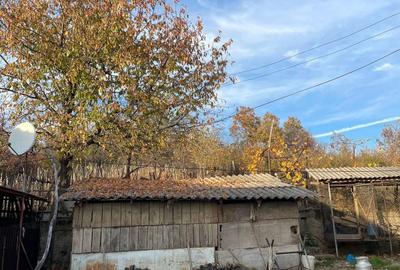 Casă cu 3 camere cu Teren 2672 Mp în Ineu - 14