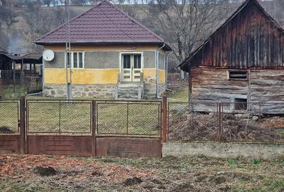 Casă cu 3 camere cu Teren 3300 Mp în Luncoiu de Jos - 3