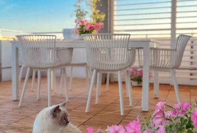 Apartament cu 2 camere în Nord - 6
