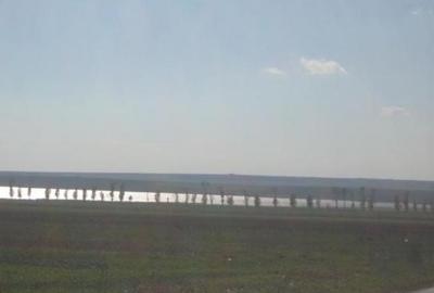 Teren agricol extravilan de 67900 mp, în Istria - 4