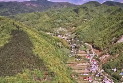 Teren agricol extravilan de 57000 mp, în Lepșa - 12